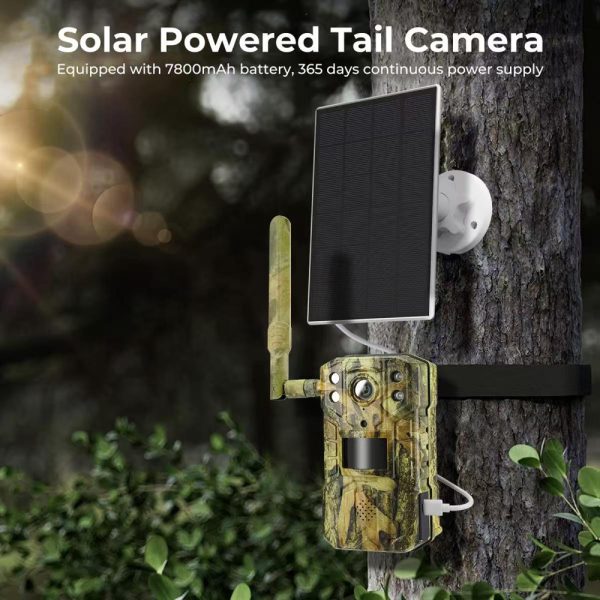 top trail cameras